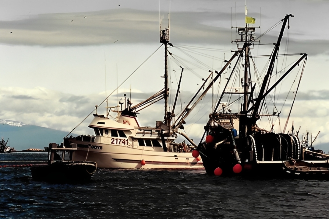 Fishing boats on a cloudy sea day.