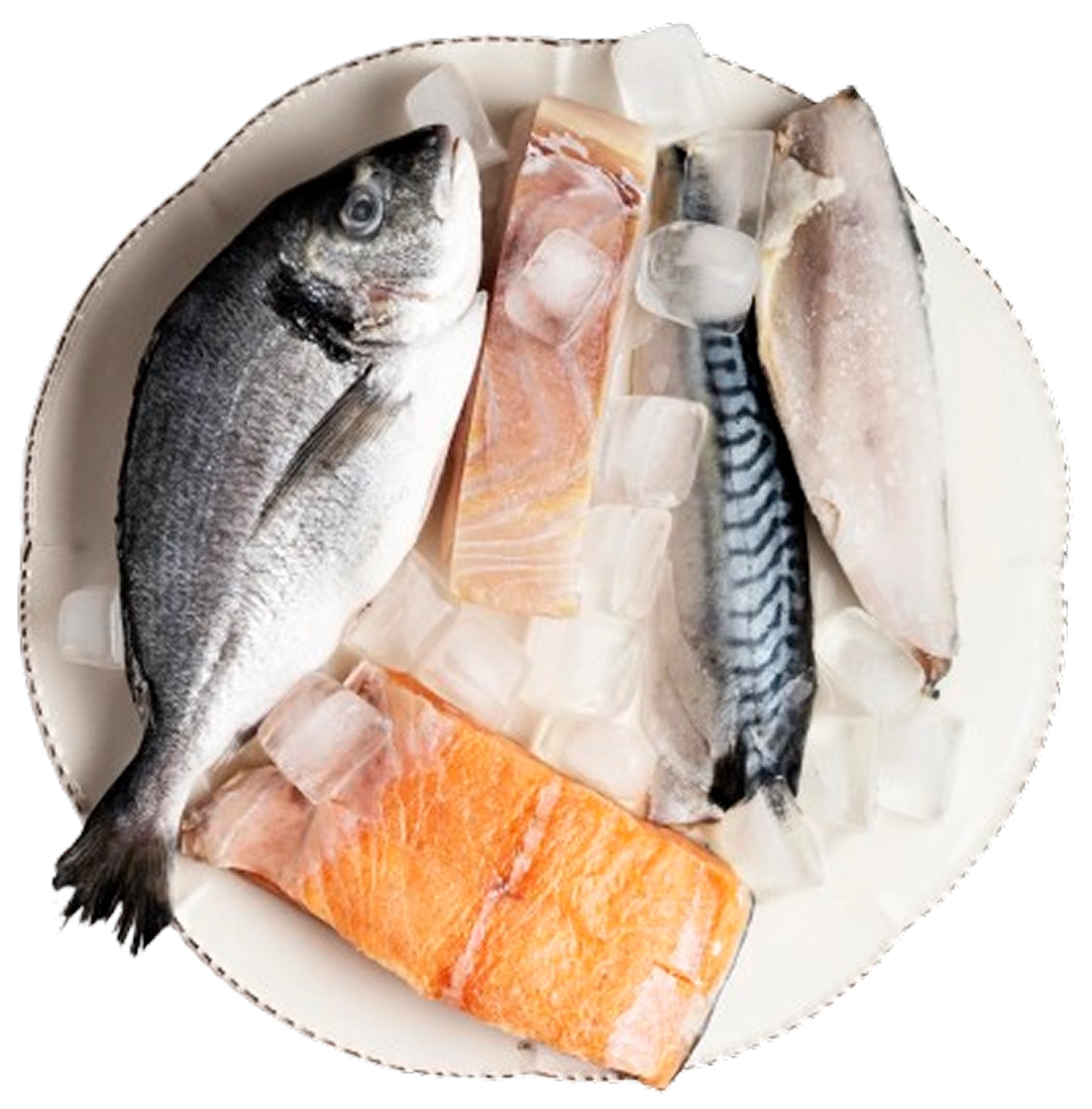 Plate with various raw fish and ice.