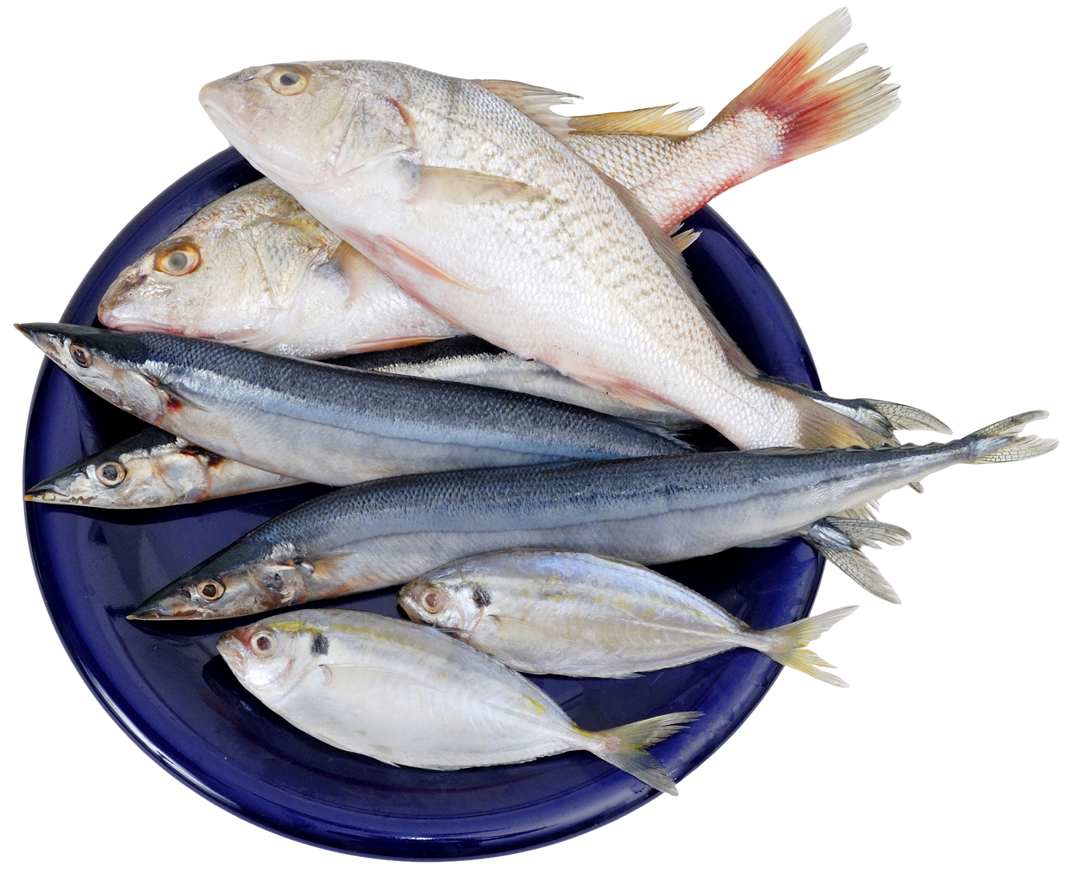 Assorted fresh fish on a blue plate.
