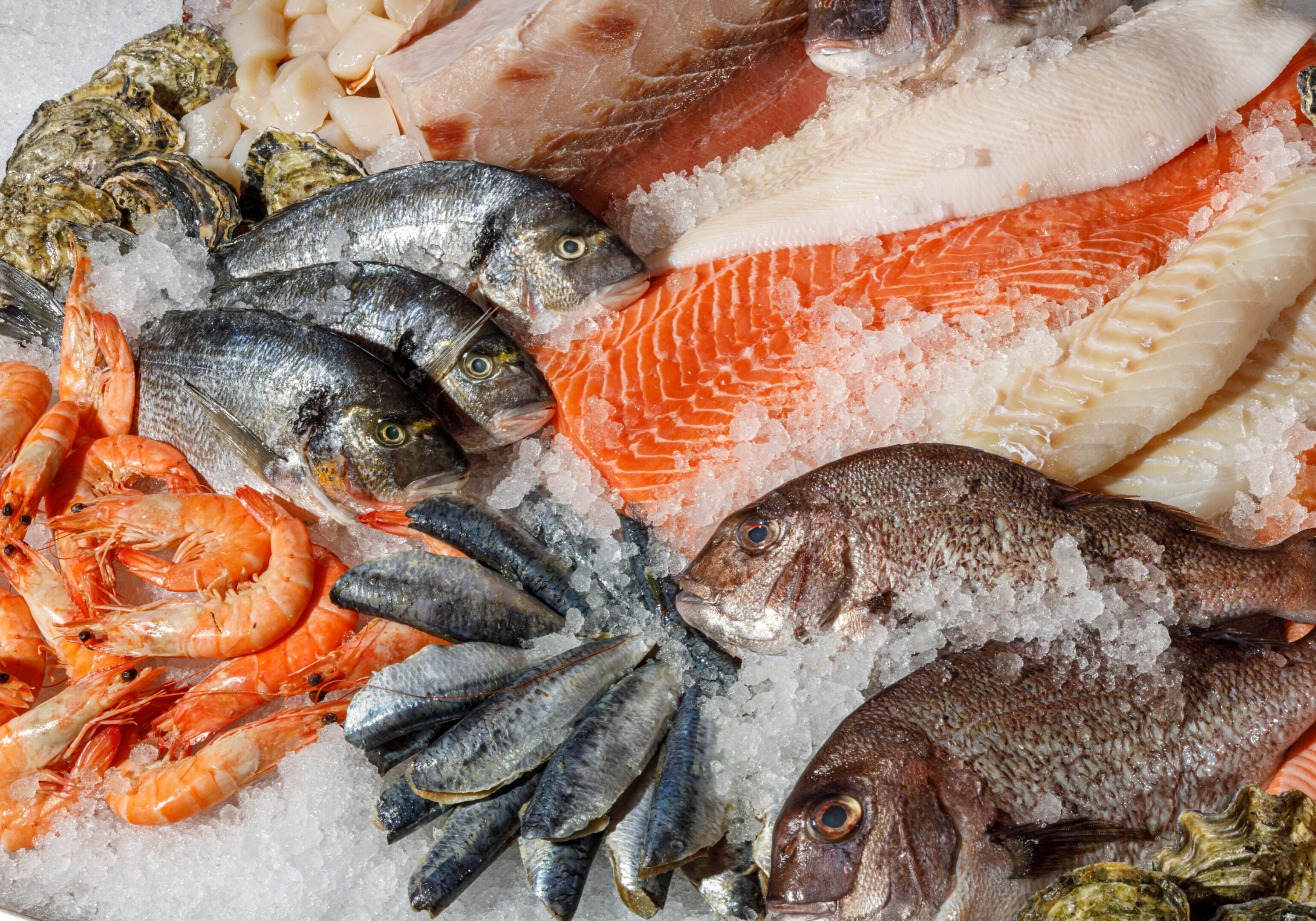 Assorted fresh seafood on ice display.